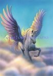Pegasus (image for) Pegasus